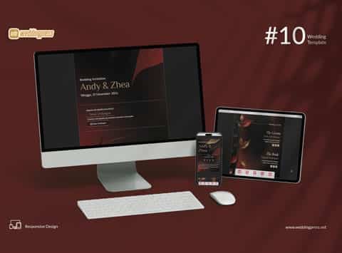 TEMA WDP 10